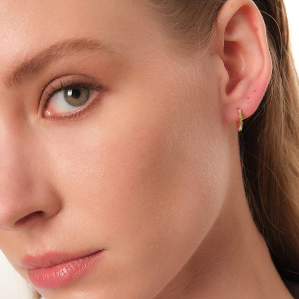 Solid Pavé Hoops Earrings in 14kt Gold Over Sterling Silver